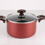 قابلمه تک ترمو ماهان